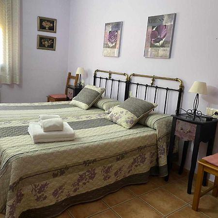Apartamentos Casa Lola Rodeados De Montanas Y Rios Beceite Exteriör bild