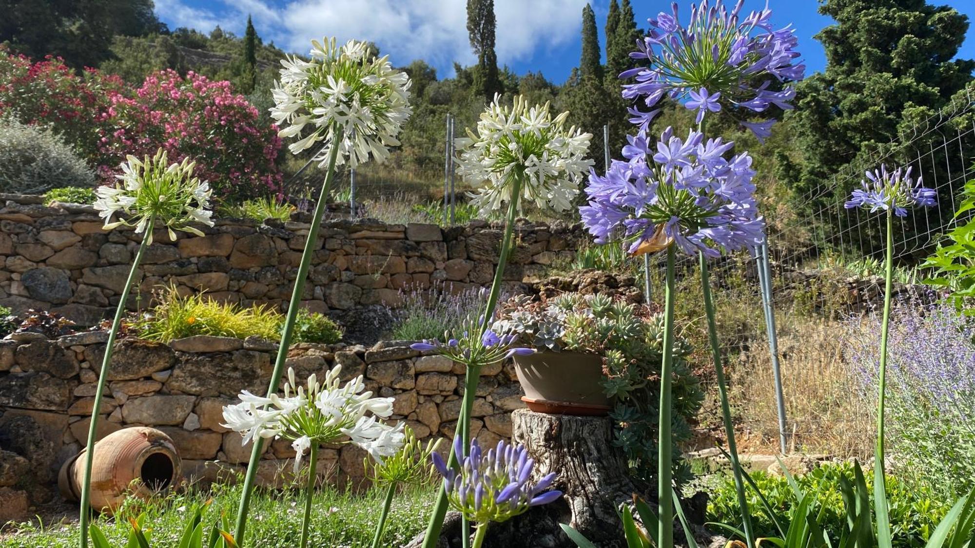 Apartamentos Casa Lola Rodeados De Montanas Y Rios Beceite Exteriör bild